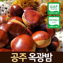 2021년 공주 정안 햇밤 속이 꽉찬 알밤 대보밤 칼집밤 옥광밤 2kg 특대, 4. 옥광밤(중) 2kg, 1개