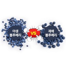 야생 와일드 냉동 블루베리1kg, 3kg, 1개