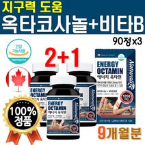 고함량 메가 비타민 비 타민 B 군 아연 수용성 에너지 영양제 옥타코사놀 지구력 옥타민 메타 맥스 활력 활성 비타 BC 비 씨 메가도스 아스코르 빈산 브산 VITA MIN 3개