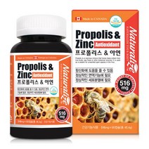 프로폴리스 아연 이뮨 구강 간절기 로얄 환절기건강 고함량 플라보노이드 90캡슐