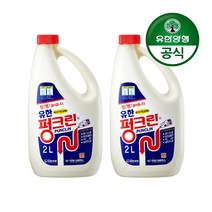 유한락스 펑크린 배수구세정제, 2L, 2개
