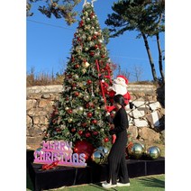 3color 로낭 크롭 니트 투피스