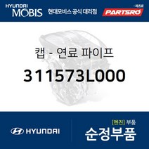 캡-연료 파이프 (311573L000) 그랜저TG 현대모비스 부품 공식대리점 온라인쇼핑몰 파츠로