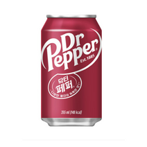 닥터페퍼 355ml 24캔