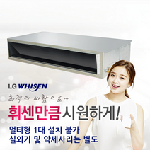 [LG전자] 휘센 천장형 시스템에어컨 저정압 매립덕트 RNW0230L2S (6평형) 냉난방기