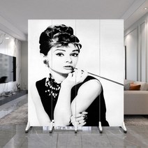 인테리어 파티션 디자인 가벽 칸막이 가림막 이동식 공간분리, 밤색 160x180cm 반투명