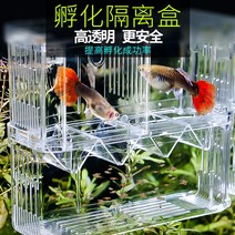 해치 인큐베이터 인큐베이팅 Guppy 3칸 채집통 투명