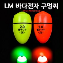 LM 바다전자 구멍찌 (1개 2세트), 2호, 형광