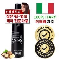 에코스라인 이태리 100% 제조 판매 1위 오가닉 이중 케어 프로페셔널 카본9 차콜 샴푸, 1개, 350ml
