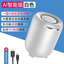 AI스피커 인공지능 스피커 최신 Q33 무선 블루투스 스피커 내장 인공 지능 AI 어시스턴트 음성 제어 휴대, 06 F-Intelligent
