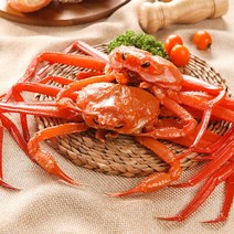 [산지직송]동해안 수율좋은 북방 홍게 5마리내외 2kg내외(프리미엄/수율80내외)