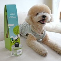 위스펫 반려동물 강아지 고양이 천연 아로마 디퓨저 선물 실내방향제 120ml 단품, 포레스트