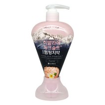 히말라야 핑크솔트 펌핑치약 플로럴민트 285g