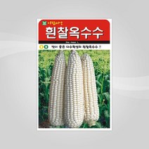 슬로시 슬로시 열매 씨앗 고추 토마토 콩 씨 종자, 흰찰옥수수30g(아람)