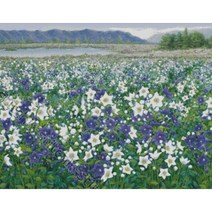 십자수도안-들꽃향기(KS-126), 반칼라