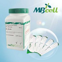 Malt Extract Agar/ MBcell 미생물 배지/ 곰팡이 배양배지/ 맥아 추출물 배지, 1Ea