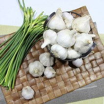 알싸한 매운맛 남해 통마늘 2kg 중사이즈, 남해통마늘2kg중