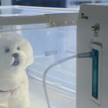 오투맥스 애견 고양이 강아지 산소방 산소발생기 세트 [당일 출고 제품], 산소방  산소발생기 세트