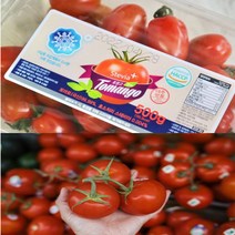 [행복농장] 스테비아 토망고 완숙 찰 토마토 대추 방울 토마토 대저 짭짤이 토마토, 1box, 04)스테비아 토망고 500g(4팩)