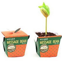 나nanr_에코팟 메시지콩 식물 키우기 베란다텃밭 미니화분 책상 기르기 재배 씨앗선물 새싹 실내 테라스 옥상 채소키우기 키트 꽃키우기♥sksnfll, ♥sstarting, NONE