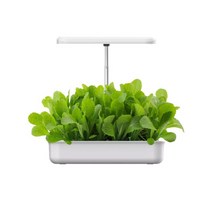 가정용 LED 수경재배기 홈가드닝, 10구