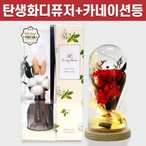 탄생화 디퓨저 선물 세트 12월 탄생화 목화 + 카네이션 무드등 선생님 부모님 어버이날 엄마 장모님 생신선물 프리저브드 플라워 생화 실내 디퓨저 실내 방향제 디퓨져, 튤립, 레드, 500ML