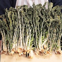 펀치볼 보름나물 무청시래기 1kg 2kg 무우청시래기 정월대보름나물, 1박스