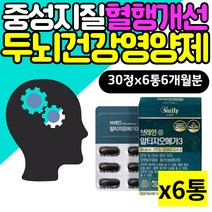 중성지질 혈행개선 두뇌건강 영양제 기억력좋아지는법 알티지 오메가3 기억력 징코라이드 멸치 오메가쓰리 누트로픽 퀘르세틴 RTG 오메가쓰리 EPA DHA 플라보놀배당체 은행잎추출물