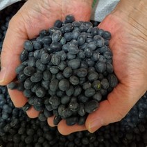 햇서리태 지앤앰 태 검은콩 태콩 잡곡 검정콩 1kg-72394EA-72394EA, 1, 본상품선택