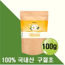 구절초분말 국내산 구절초 가루 파우더 베타카로틴 비타민 리나린성분 무기질 타먹는 뿌려먹는 운동할때 산책할때 물대신 물대용 음료 차 주스 구절초잎 꽃 줄기 방송 홈쇼핑