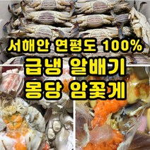 구매평 좋은 국산냉동꽃게2kg 추천순위 TOP 8 소개