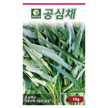 두메 부추 100립 부추씨앗 부추씨 야채씨 야채씨앗 채소씨 채소씨앗, 01_다농_공심채(10g)