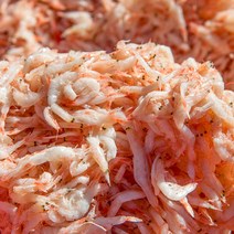 서해안 김장새우 급냉 동백하 김장용 생새우 1kg, 동백하 1kg