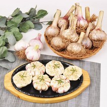 [푸르젠] 충남 서산 전병호님의 난지형 통마늘 (장아찌용마늘), 1개, 1kg(일반)