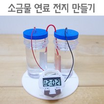 천연 소금물 연료전지 이온화 실험 5인 초등 초등과학키트 과학기자재 교육완구 중등과학 초등교과실험