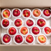 담백한풍여사 GAP인증 고당도 함양 부사 사과 산지직송 선물용 사과, 4kg(대) 14-14과