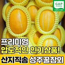 [갓성비농산] 고당도 성주 꿀 참외 가정용 못난이 정품, 특)정품 4kg, 콩알(25~35과), 1개