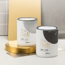 KCC페인트 숲으로셀프 철재용 0.9L 현관문 대문 샷시 난간 / 친환경 수성 DIY, 색상선택, 화이트2
