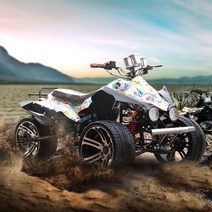 3륜바이크 삼륜오토바이 삼발이토오바이 삼토바이, 패키지 A.