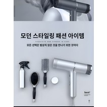 미용실 전용 고성능 드라이어 가정용 음이온 드라이기, 티 드라이기 실버