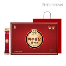개성상인 하루홍삼플러스 10ml 30포 /전용쇼핑백 /개성인삼농협, 기타