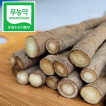 22년 햇수확 무농약 진주 우엉 2kg 직접재배, 무농약 우엉 (알뜰형) 2kg