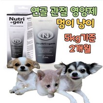 애견 관절 영양제 고양이 강아지 대형견 노령묘 노령견 노령기 글루코사민 msm 초록입홍합 피쉬 콜라겐 콘드로이친 초록잎홍합 이소플라본 연골 건강 에좋은 보조제, 1개