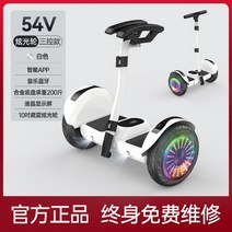 두발 전동휠 대리 운전 10인치 전기 투휠, 화이트 충격 흡수 글레어 휠, 54v