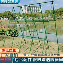 오이 망 16mm 지지대 텃밭 작물 호박 넝쿨 그물망포함, 길이240cmx높이240cm가로5개세로10개