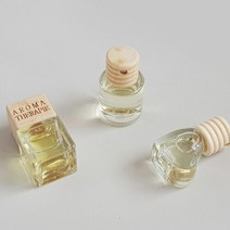 이앤 차량용방향제 미니디퓨저 자동차 신발장옷장 걸이형방향제, 원형/애플민트