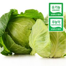 마켓엔 친환경 유기농 무농약 양배추 4kg 6kg, 친환경 양배추 6kg