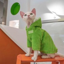 고양이 털이 없는 옷 가을 겨울 100% 면 애완 동물 셔츠 스핑크스 스웨터 달콤한 새끼 강아지 닥스 훈트 코트, [03] L, [01] Green