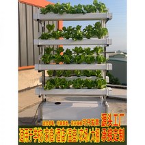 수경재배기 식물재배기 가정용수경재배기 실내 식물 재배 NFT 무토양 야채 딸기 심기 양면 수직 프레임 수경 장비 발코니 다층 기계, 스테인레스 스틸, 3단 심기 랙