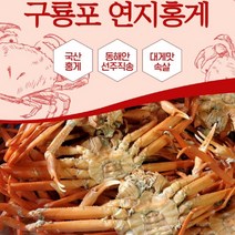 박달홍게 포항홍게 구룡포 포항 산지직송 특급 연지, A급(수율70%)